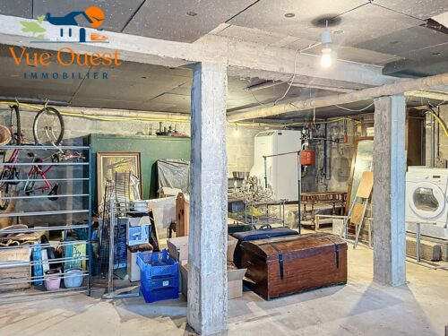 maestu_00013 maestu_00013