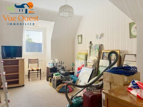 maestu_00036 maestu_00036